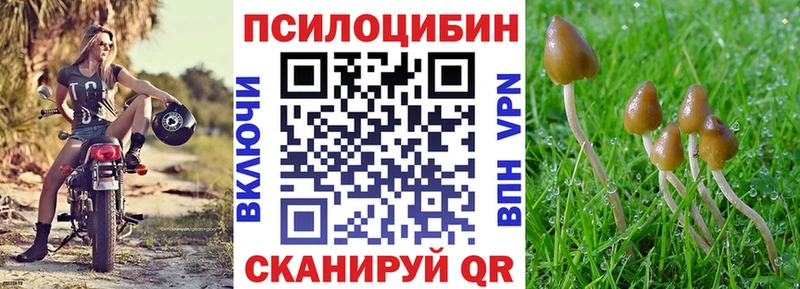 МЕГА ссылки  сколько стоит  Ворсма  Галлюциногенные грибы Psilocybe 